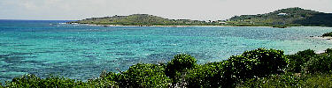 Salt river mouth
